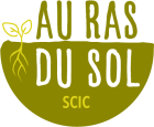 logo_RAS_DU_SOL_OK.png