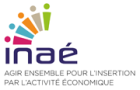 croppedlogoinae.png