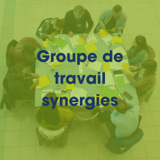 Lien vers: https://lafabcoop.org/Groupe-de-travail-synergies